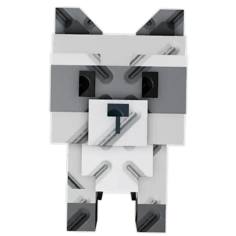 🦝 RACCOON 🦝